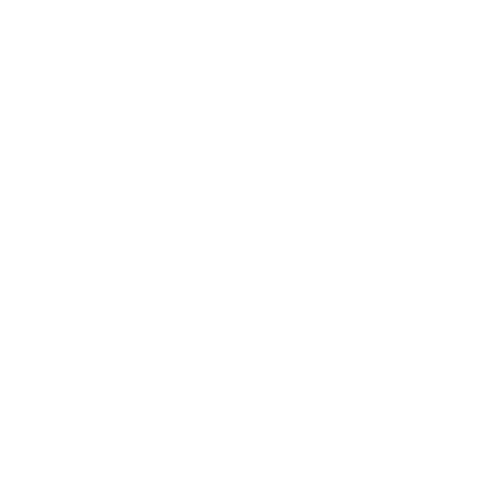 Wütendes Buch von Sarah Teufer