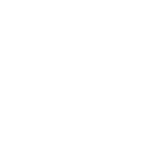 Wütendes Buch von Carina von Reichmann