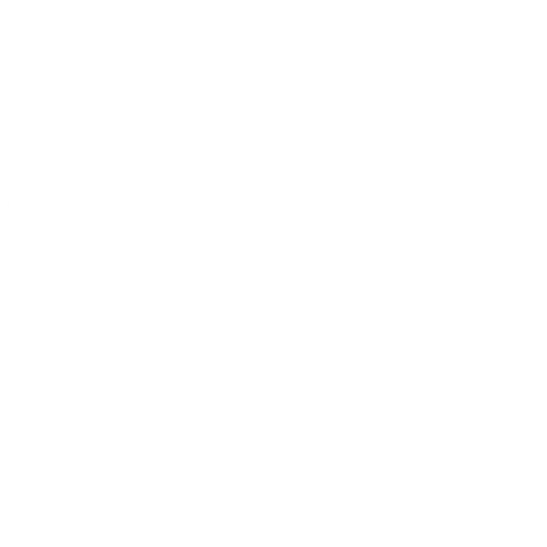 Wütendes Buch von Tanja Kischel