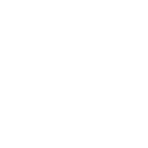 Wütendes Buch von Resi