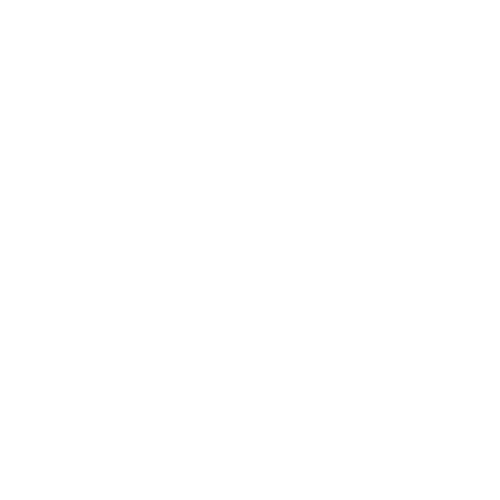 Wütendes Buch von Paula Lindinger