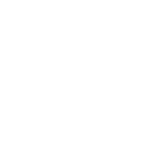 Wütendes Buch von Lotte Huggel