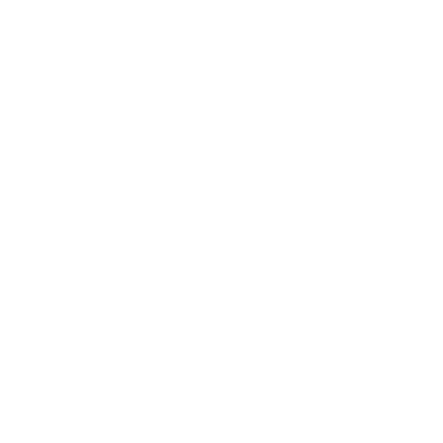 Wütendes Buch von Paula Lindinger