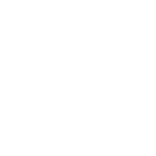 Wütendes Buch von Bettina Aumer-Lindner