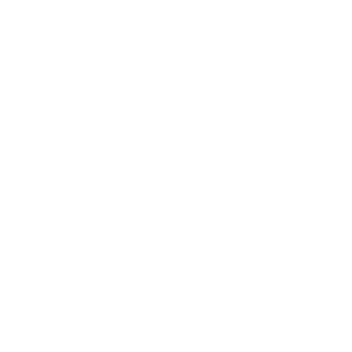 Wütendes Buch von Paula Lindinger