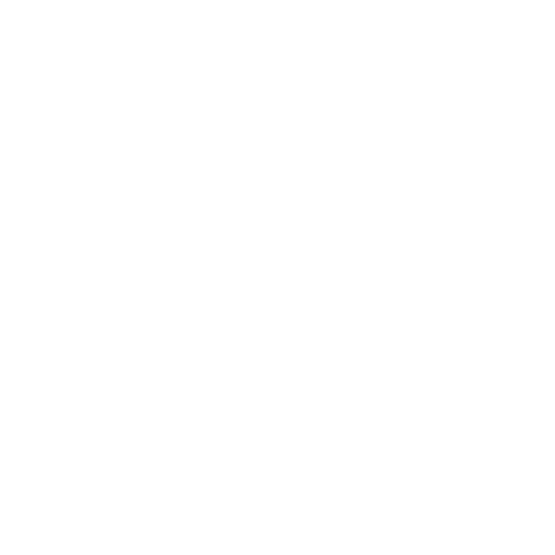 Wütendes Buch von Anna Karina Birkenstock