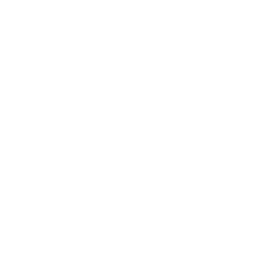 Wütendes Buch von Lisa Satz