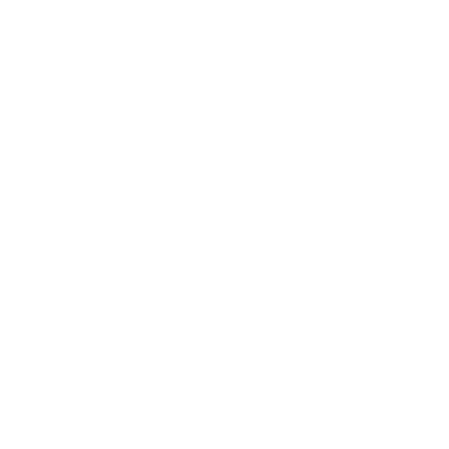 Wütendes Buch von Inga Michaelis