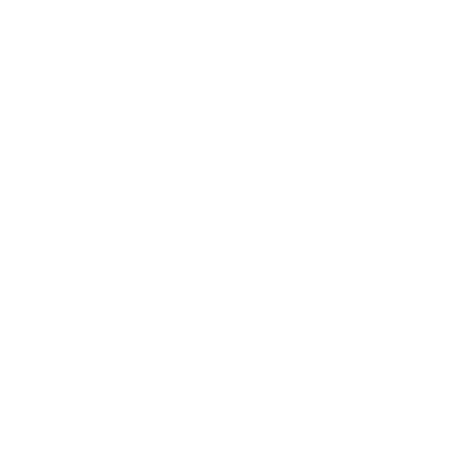 Wütendes Buch von Leonie Beese