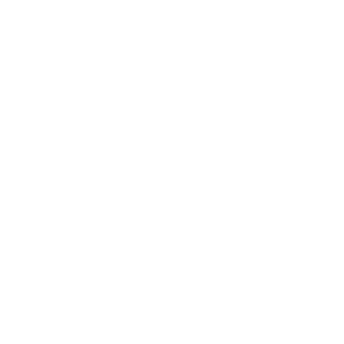 Wütendes Buch von Leonie Beese