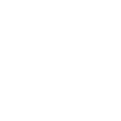 Wütendes Buch von Leonie Beese