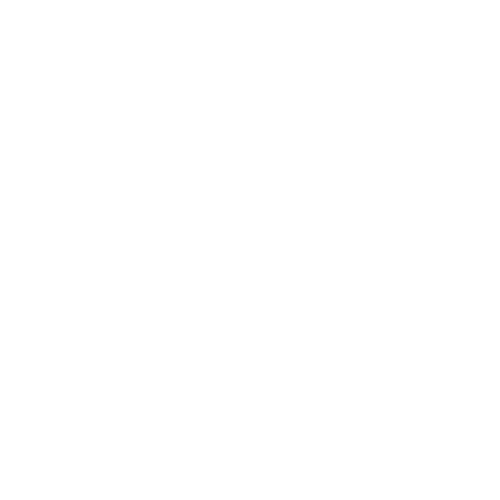 Wütendes Buch von Laura Finke