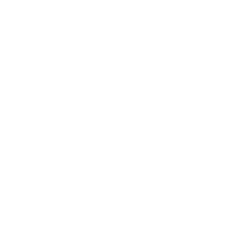 Wütendes Buch von Lis Walter