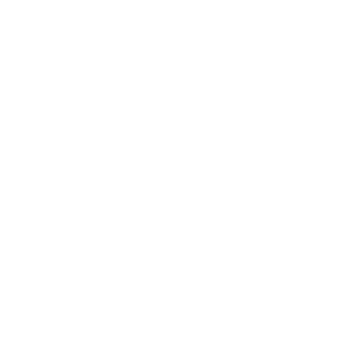 Wütendes Buch von Lis Walter