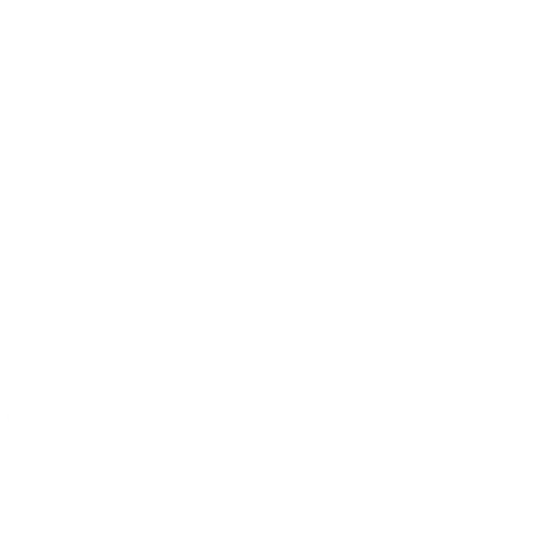 Wütendes Buch von Johanna Gehring