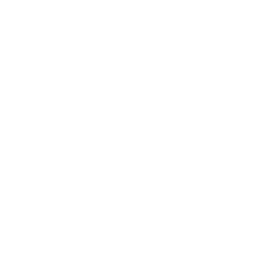 Wütendes Buch von Frederike Werner