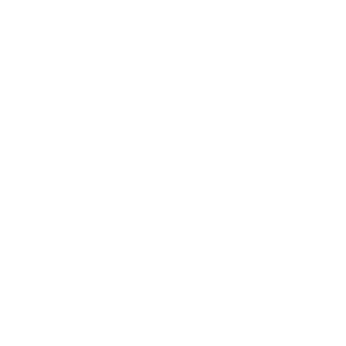 Wütendes Buch von suse schröder