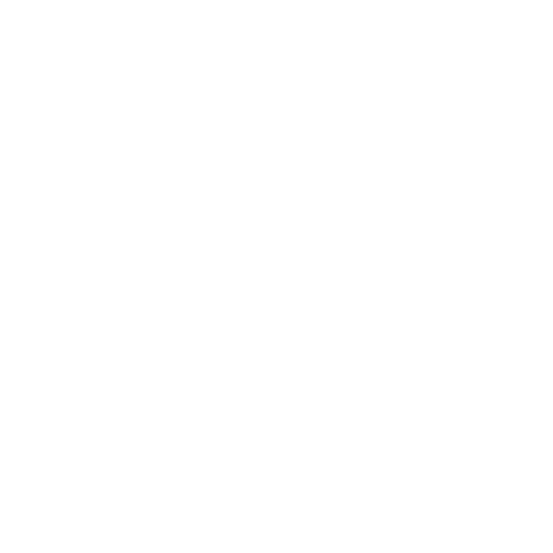 Wütendes Buch von Paula Janser