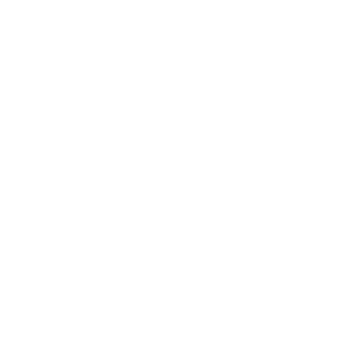 Wütendes Buch von Brillo Rondon