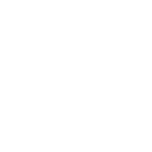 Wütendes Buch von Brillo Rondon