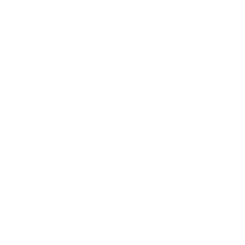 Wütendes Buch von Brillo Rondon