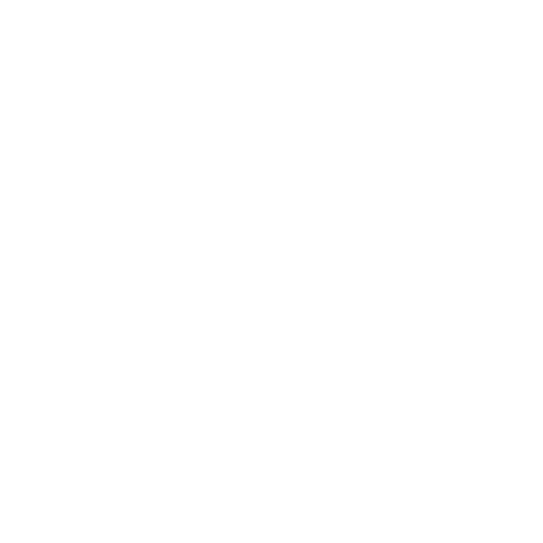 Wütendes Buch von Olga Epikhina