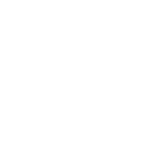 Wütendes Buch von Sarina Gustmann