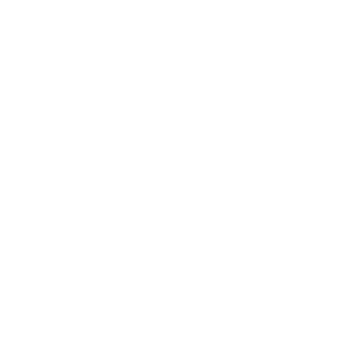 Wütendes Buch von Sarina Gustmann