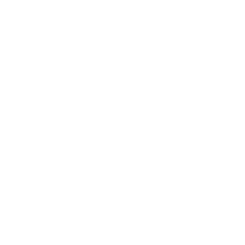 Wütendes Buch von Nele Trompeter