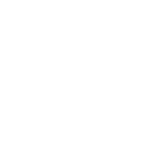 Wütendes Buch von Nele Trompeter