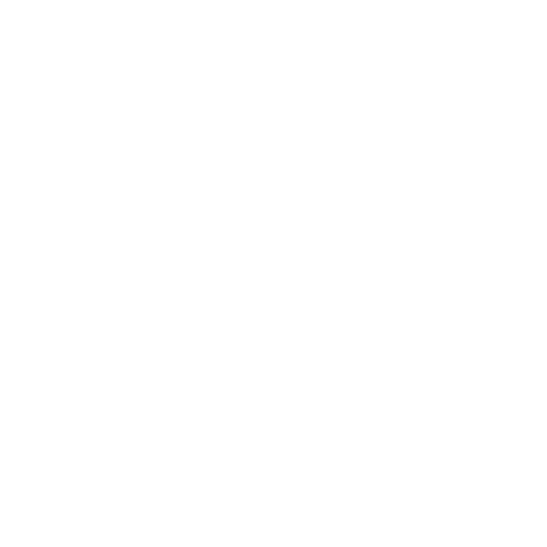 Wütendes Buch von Nele Trompeter