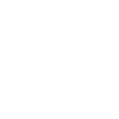 Wütendes Buch von Romana Ruban