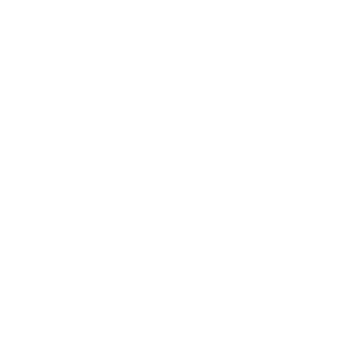 Wütendes Buch von Ludmilla Rech