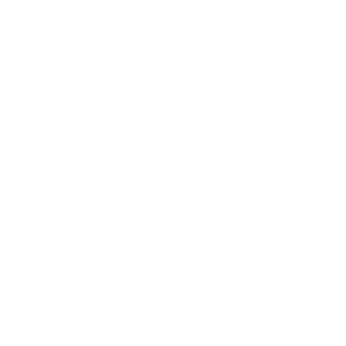 Wütendes Buch von Wiebke Bolduan