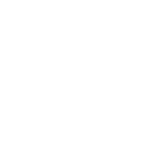 Wütendes Buch von Hanna Schrader