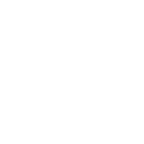 Wütendes Buch von Wiebke Bolduan