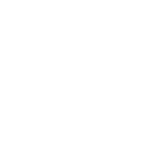 Wütendes Buch von Mira Schönegge