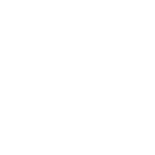 Wütendes Buch von Laura Besler