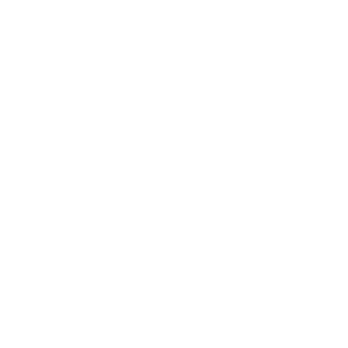 Wütendes Buch von Domi Wendland