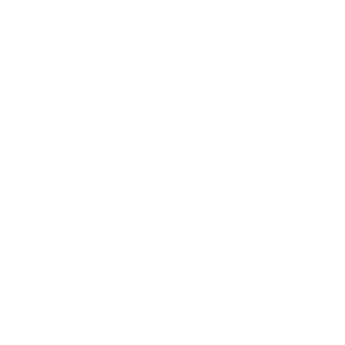 Wütendes Buch von Domi Wendland