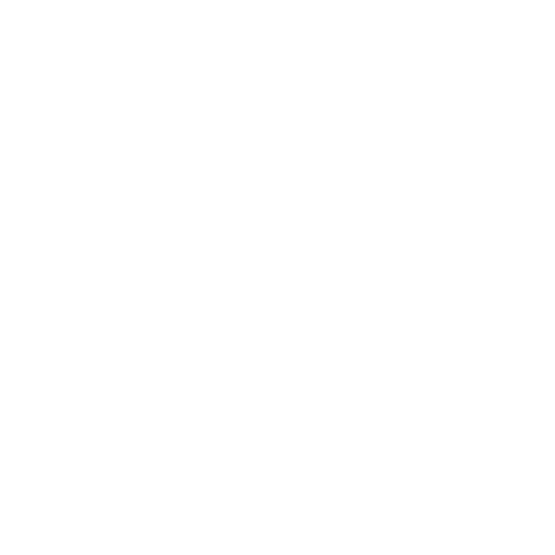 Wütendes Buch von Domi Wendland