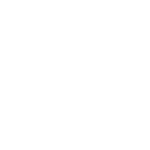 Wütendes Buch von Franziska Angermann