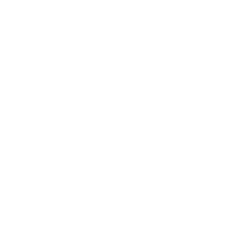 Wütendes Buch von Hanna Burgard