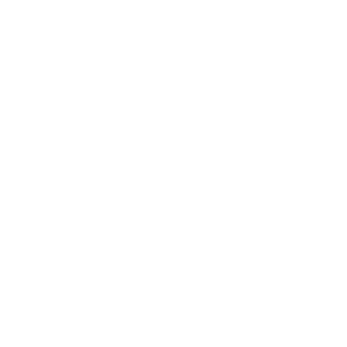 Wütendes Buch von Hanna Burgard