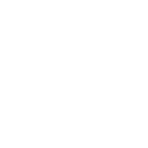 Wütendes Buch von Lisa Pendl