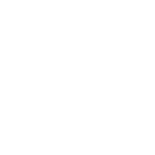 Wütendes Buch von Marielle Rusche