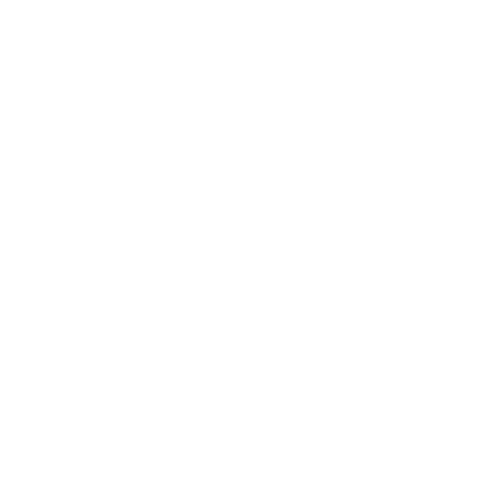 Wütendes Buch von Marielle Rusche