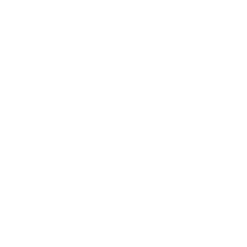 Wütendes Buch von Holger M. Diesinger