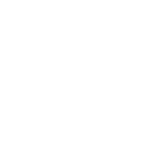 Wütendes Buch von Anna Schnitzer