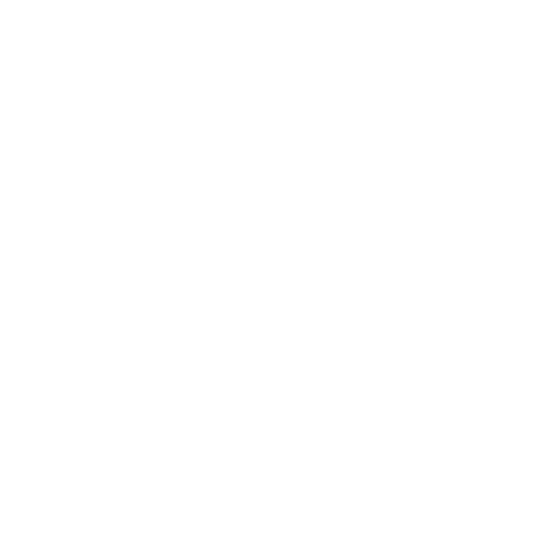 Wütendes Buch von Anna Schnitzer